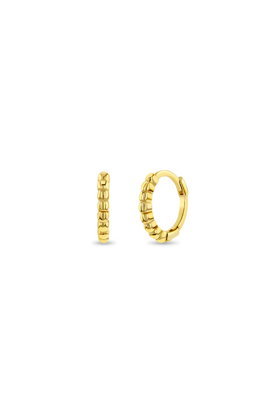 Aros Beaded Hoop